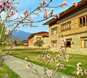 Bhutan package tour cost from Bagdogra Airport