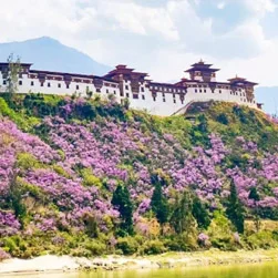 Bhutan package tour from Bagdogra Airport