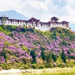 travel bhutan with best b2b dmc adorable vacation