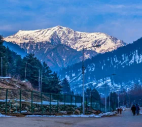 kashmir package tour booking from srinagar airport