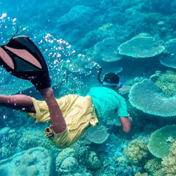 Lakshadweep Package Tour from Kochi